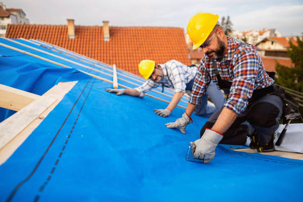 Best Roof Leak Repair  in Marionville, MO