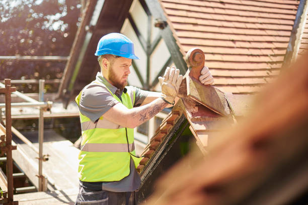 Best Local Roofing Companies  in Marionville, MO