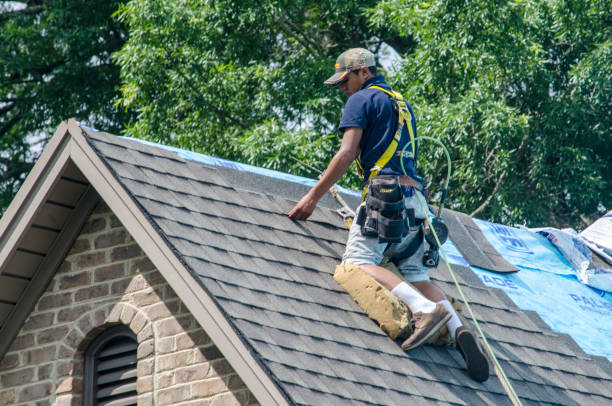 Best Flat Roof Repair Services  in Marionville, MO